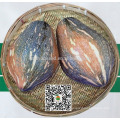 PU15 Xiangyu großer Geschmack überlegene hybride süße Kürbiskerne für das Pflanzen